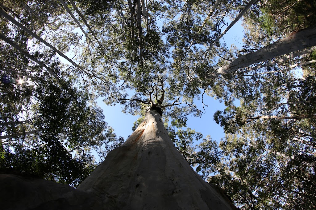 We Are Explorers | 2/10 Towers Dr, Mullumbimby NSW 2482, Australia | Phone: 0435 075 758