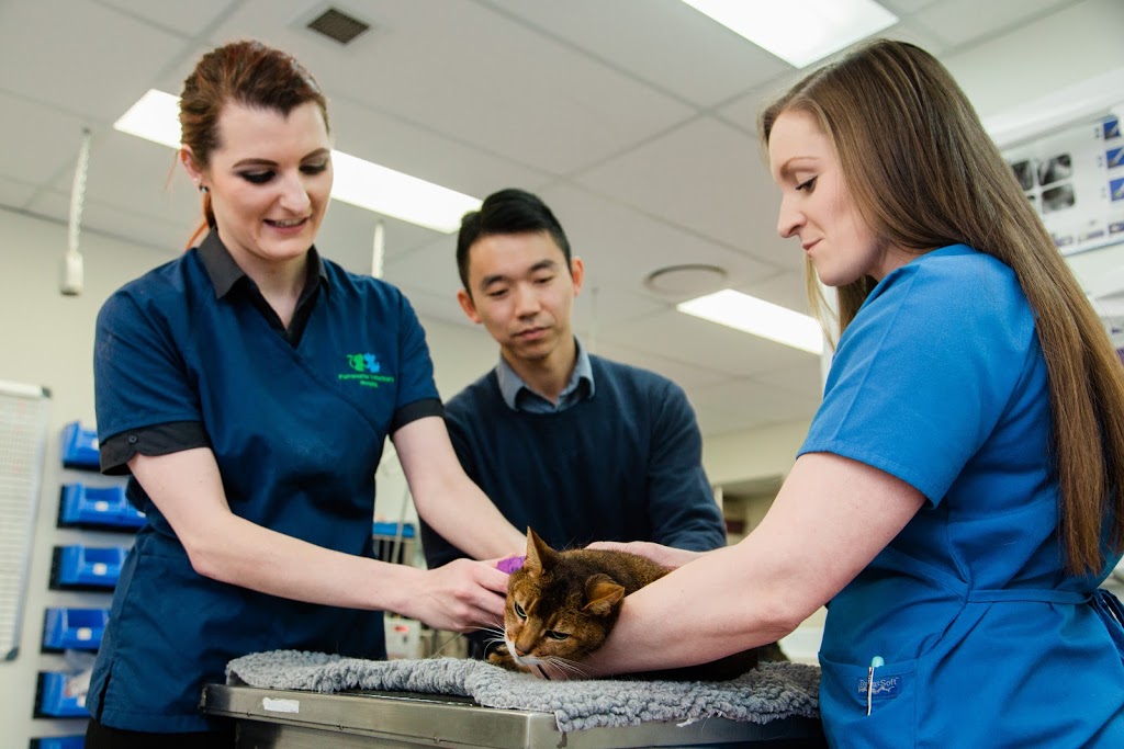 Parramatta Veterinary Hospital | veterinary care | 100 Grose St, Parramatta NSW 2151, Australia | 0296305520 OR +61 2 9630 5520