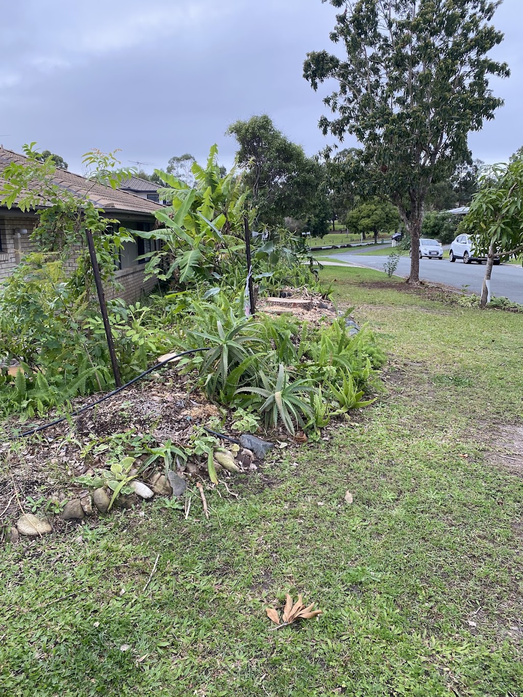 Vista Lawn Care | 114A Belhaven Ave, Yarrabilba QLD 4207, Australia | Phone: 1300 084 782