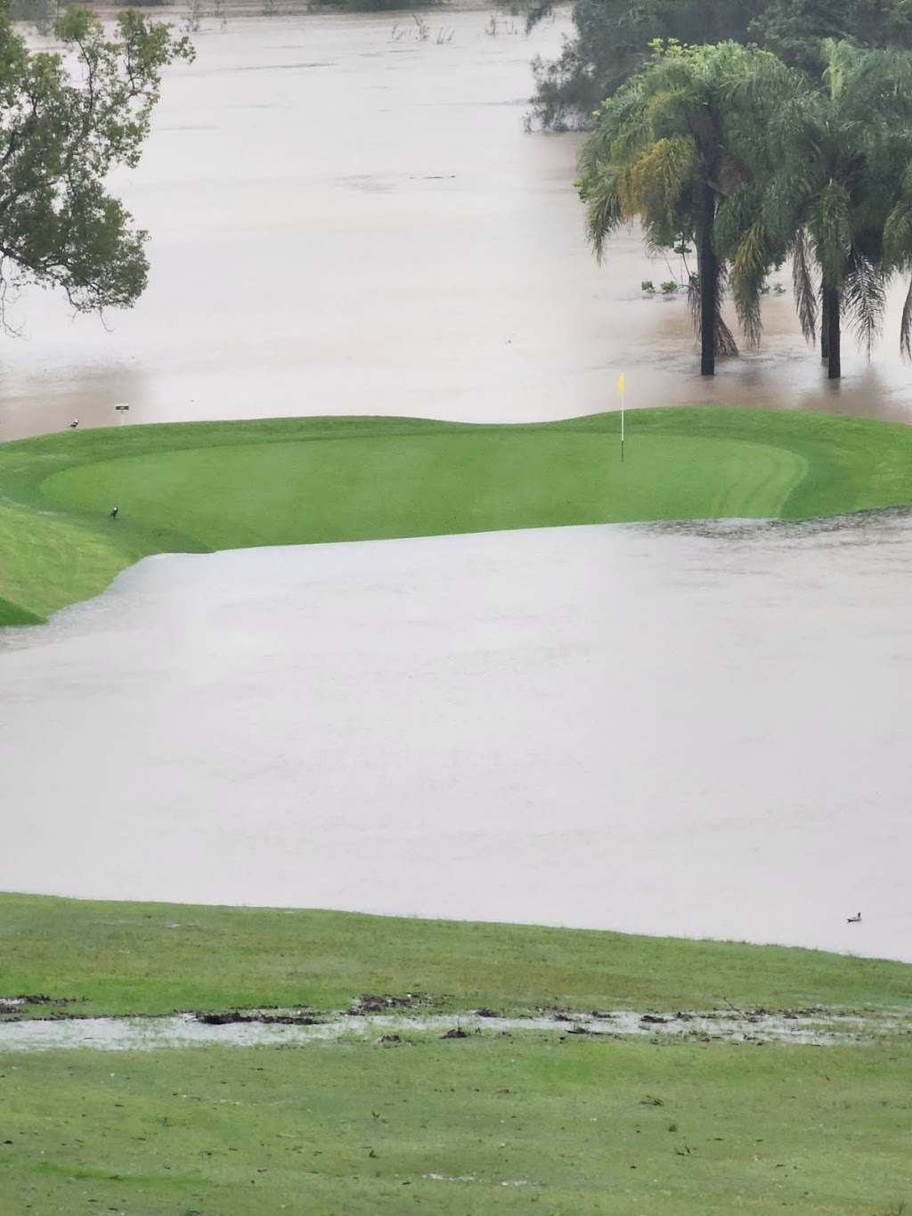 Club Taree | 121 Wingham Rd, Taree NSW 2430, Australia | Phone: (02) 6539 4000