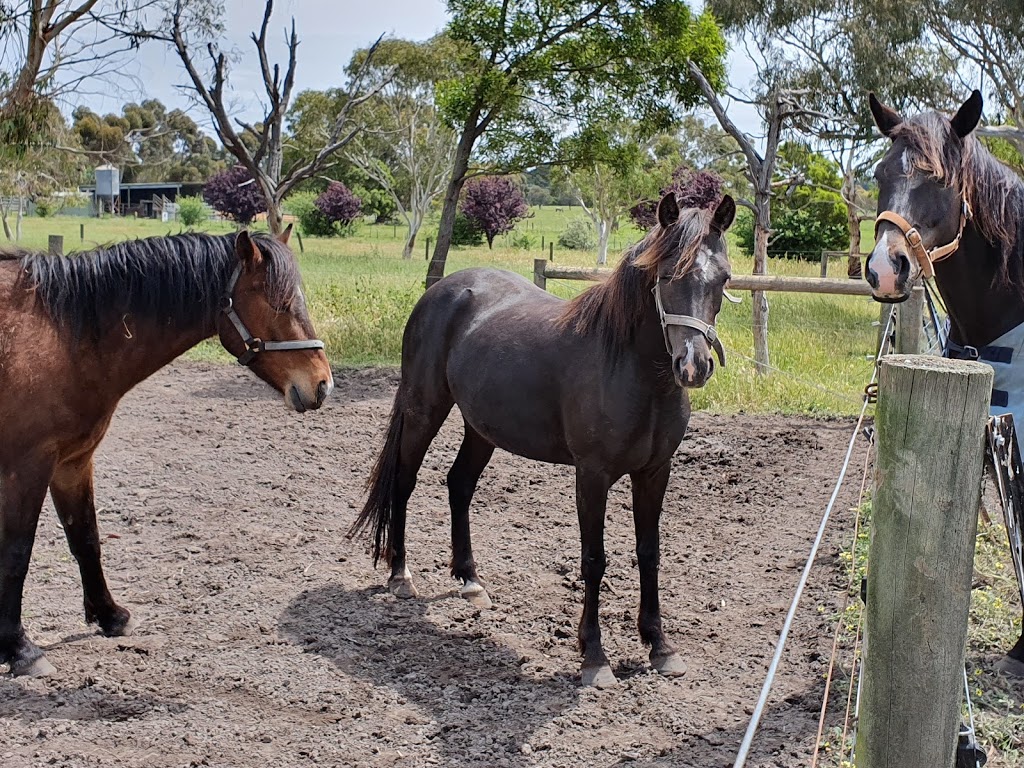 MUDDY HELL | 480 Mornington-Tyabb Rd, Moorooduc VIC 3933, Australia | Phone: 0431 980 666