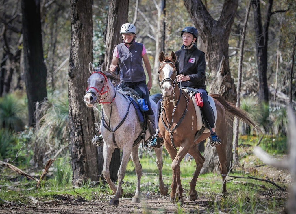 Nicker and Whinny Endurance Riding | 350 Grandview Rd, Pullenvale QLD 4069, Australia | Phone: 0401 060 012