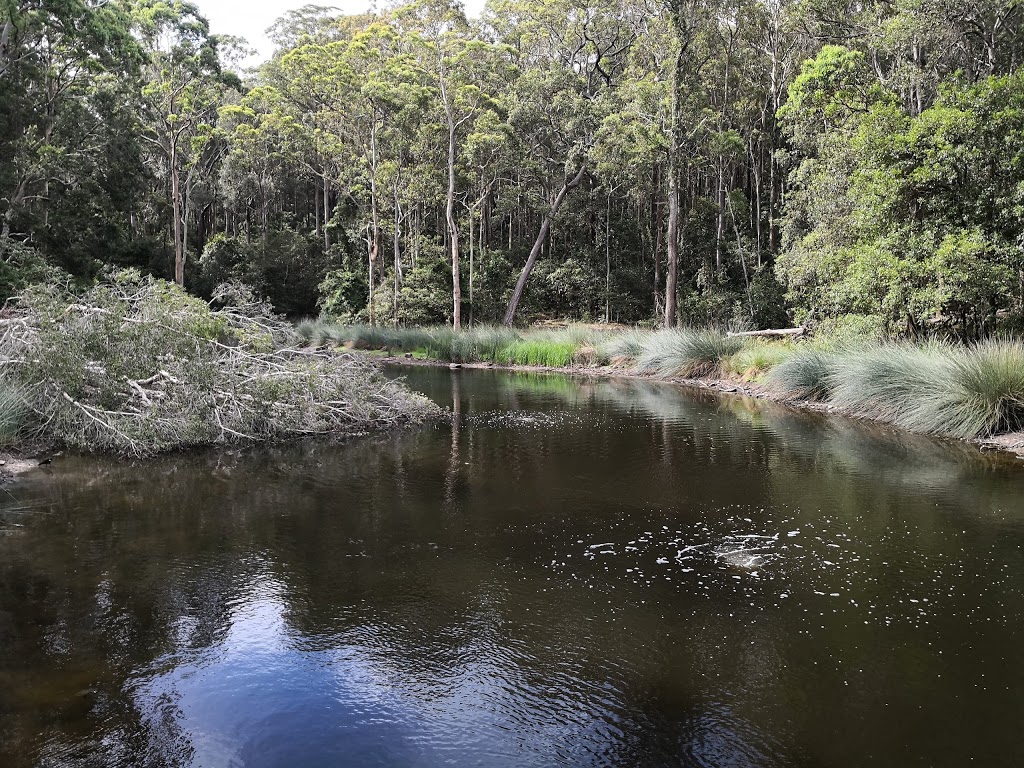 Blackbutt Nature Reserve | Carnley Ave, Kotara NSW 2289, Australia | Phone: (02) 4904 3344