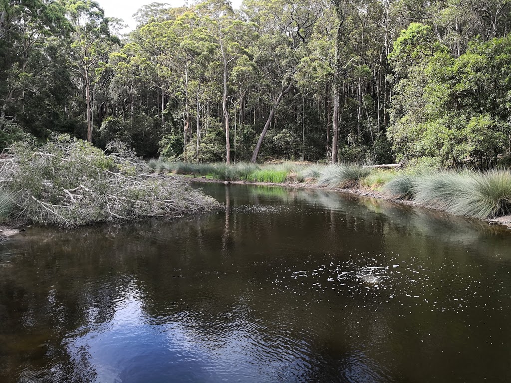 Blackbutt Nature Reserve | zoo | Carnley Ave, Kotara NSW 2289, Australia | 0249043344 OR +61 2 4904 3344