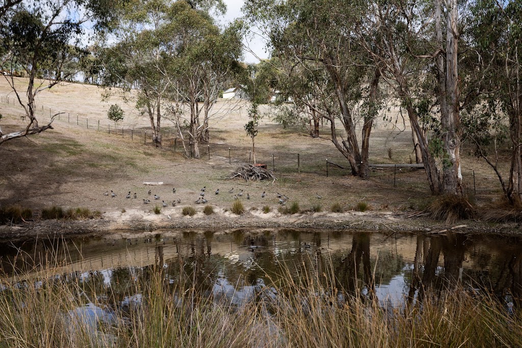 Unicorn Valley Therapies | 85 Alma Rd, Panton Hill VIC 3759, Australia | Phone: 0408 522 205