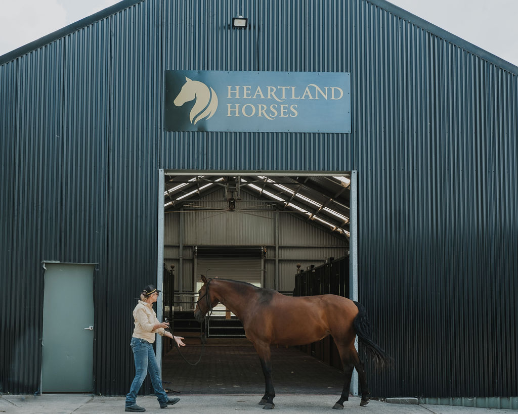 Heartland Horse Farm | 271 Exeter Rd, Sutton Forest NSW 2577, Australia | Phone: (02) 8424 6602