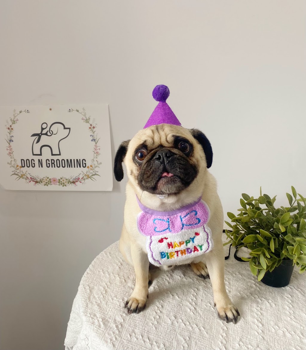 Dog N Grooming | 85 Domain Dr, Batesford VIC 3213, Australia | Phone: 0450 155 603 Dog N Grooming | 85 Domain Dr, Batesford VIC 3213, Australia | Phone: 0450 155 603