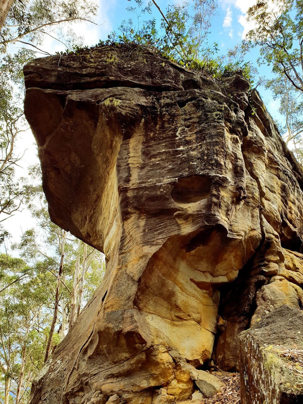 Mount Jerusalem National Park | park | Rowlands Creek NSW 2484, Australia | 131555 OR +61 131555