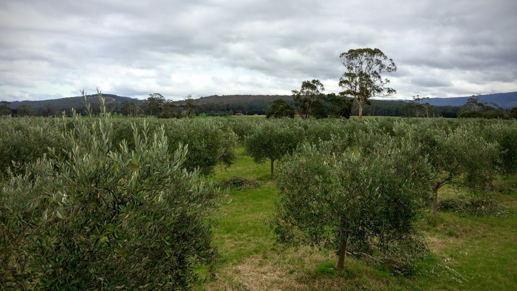 Devon Siding Olives |  | 594 Tarra Valley Rd, Devon North VIC 3971, Australia | 0351826281 OR +61 3 5182 6281