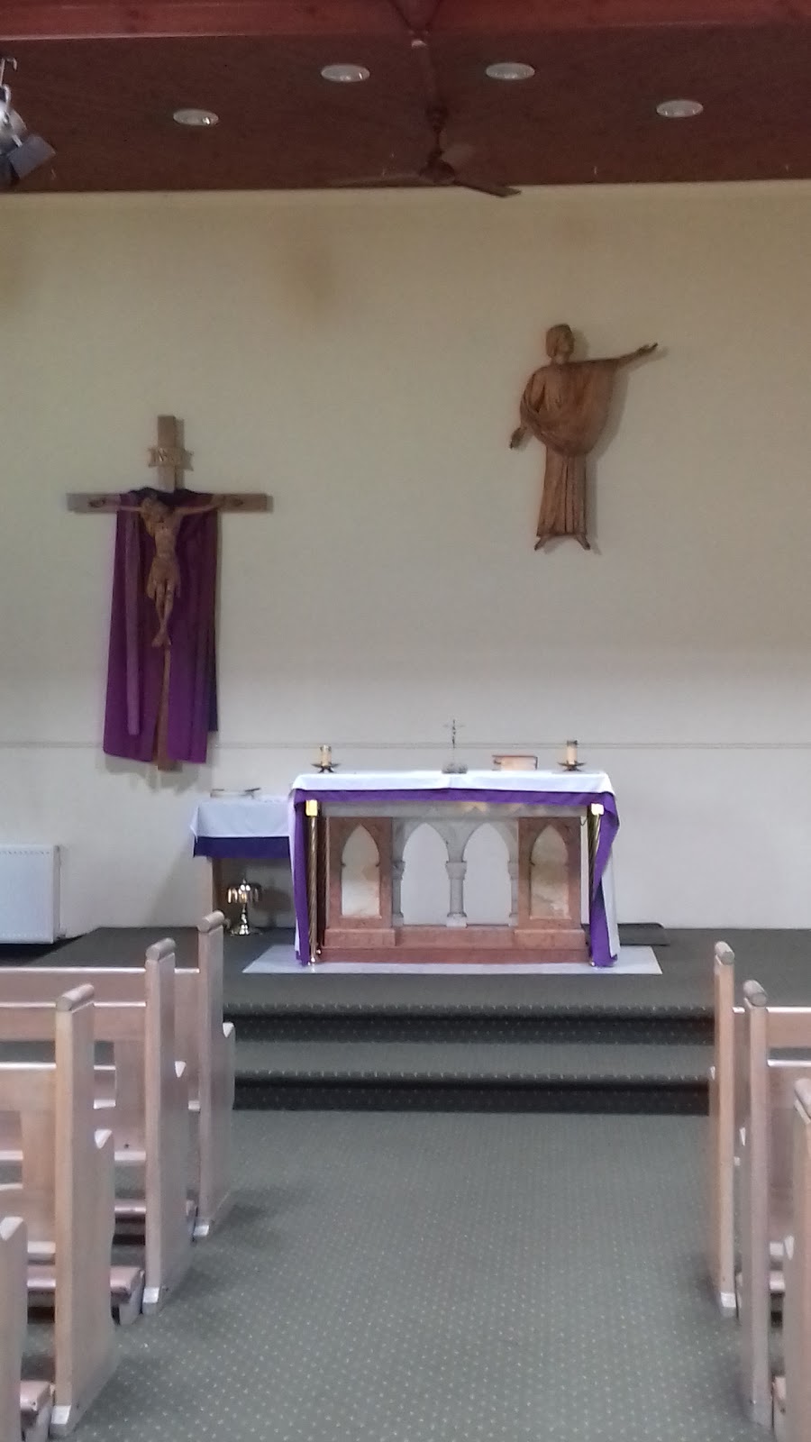 St Finbars Catholic Church | church | 86 Centre Rd, Brighton East VIC 3187, Australia | 0395932122 OR +61 3 9593 2122
