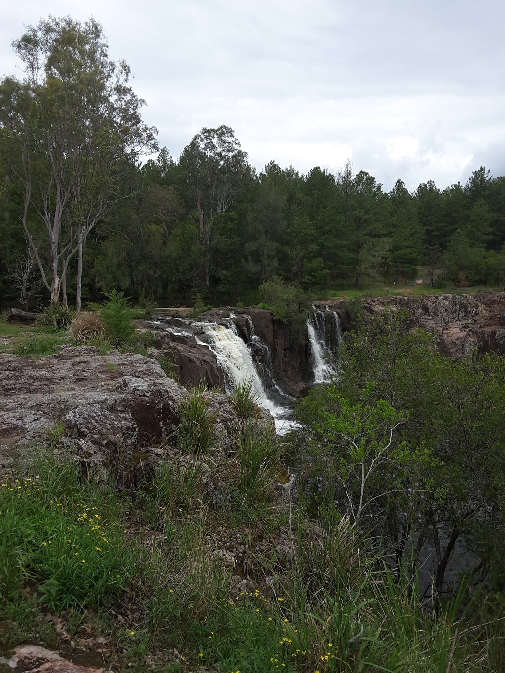 Tooloom National Park | Tooloom Rd, Urbenville NSW 2475, Australia | Phone: (02) 6632 0000