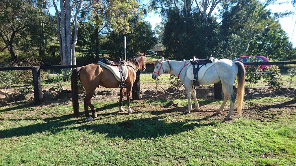 Mary Valley Adventure Trails | travel agency | 50 Amamoor Creek Rd, Amamoor QLD 4570, Australia | 0754811489 OR +61 7 5481 1489