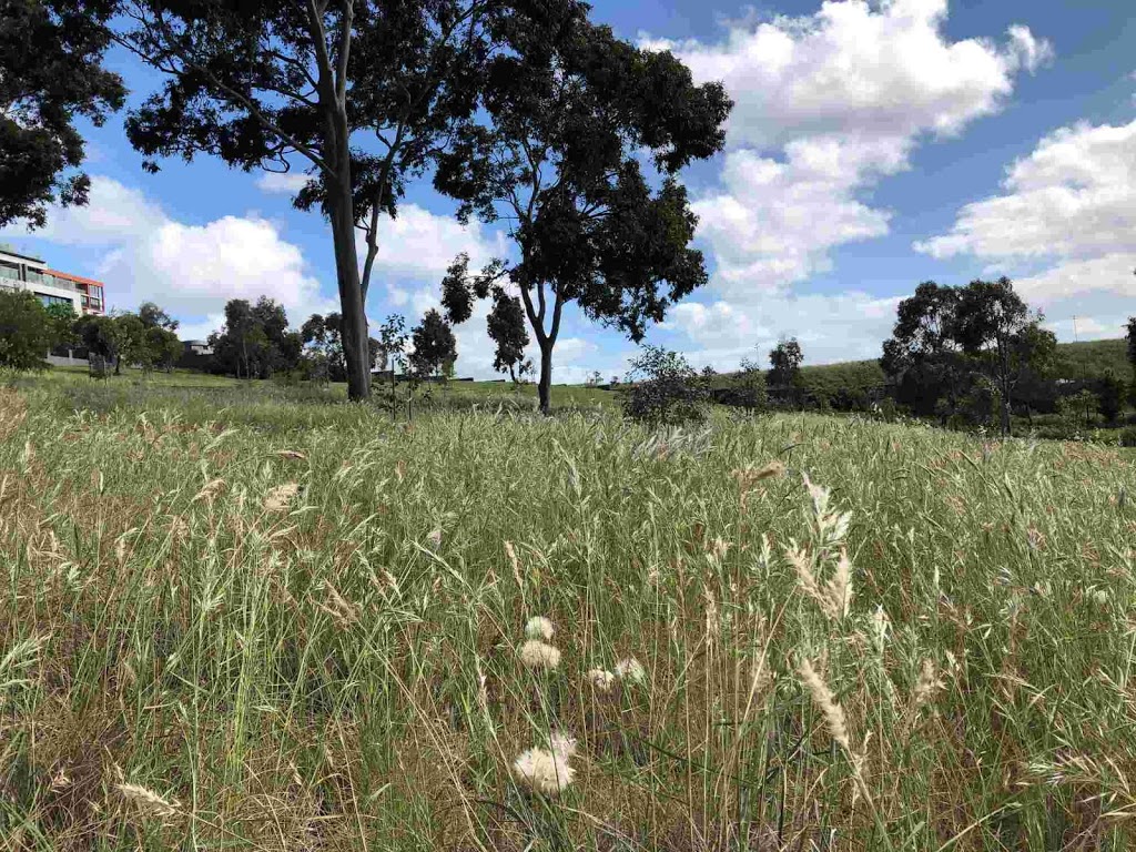 Jacks Wood Reserve | Maribyrnong VIC 3032, Australia