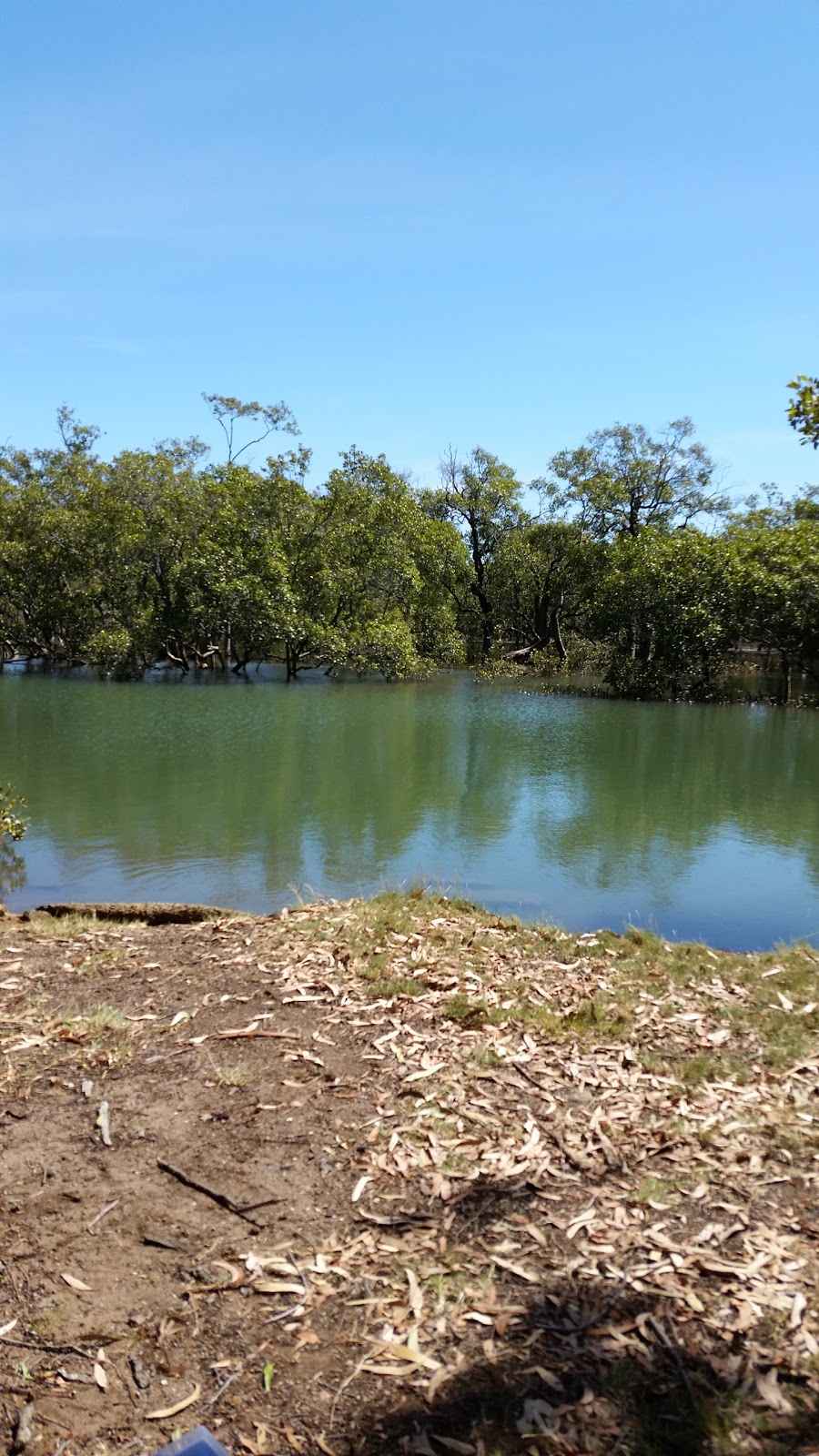 Kurts Beach | park | Lota Ct, Lota QLD 4179, Australia