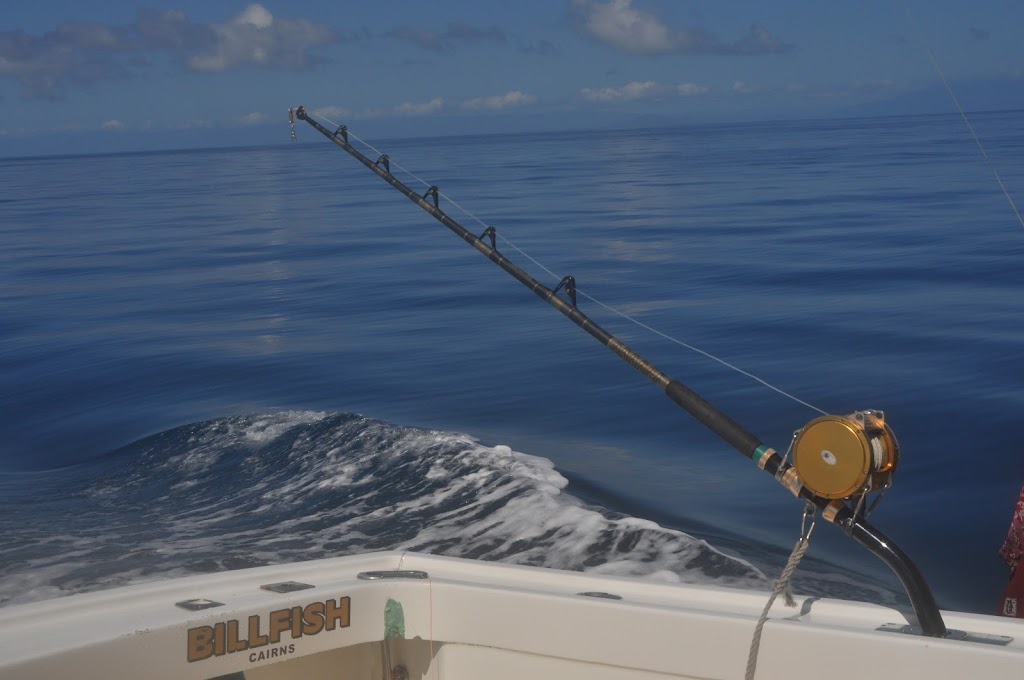 Billfish Sports Fishing |  | C33 Cairns Marina, Pier Point Rd, Cairns City QLD 4870, Australia | 0428384938 OR +61 428 384 938