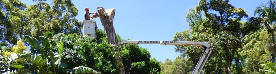 JMC Tree Services |  | Bedfordale WA 6112, Australia | 0409118912 OR +61 409 118 912