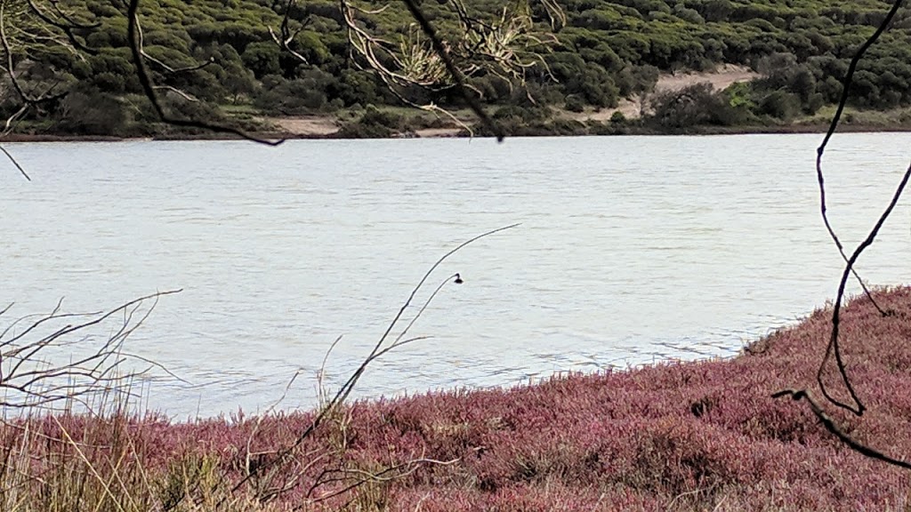 Greenough River Walking Trail | Cape Burney WA 6532, Australia