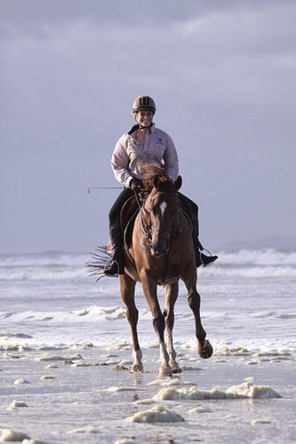 Equathon Horse Riding | travel agency | Esplanade, Noosa North Shore QLD 4565, Australia | 0754742665 OR +61 7 5474 2665