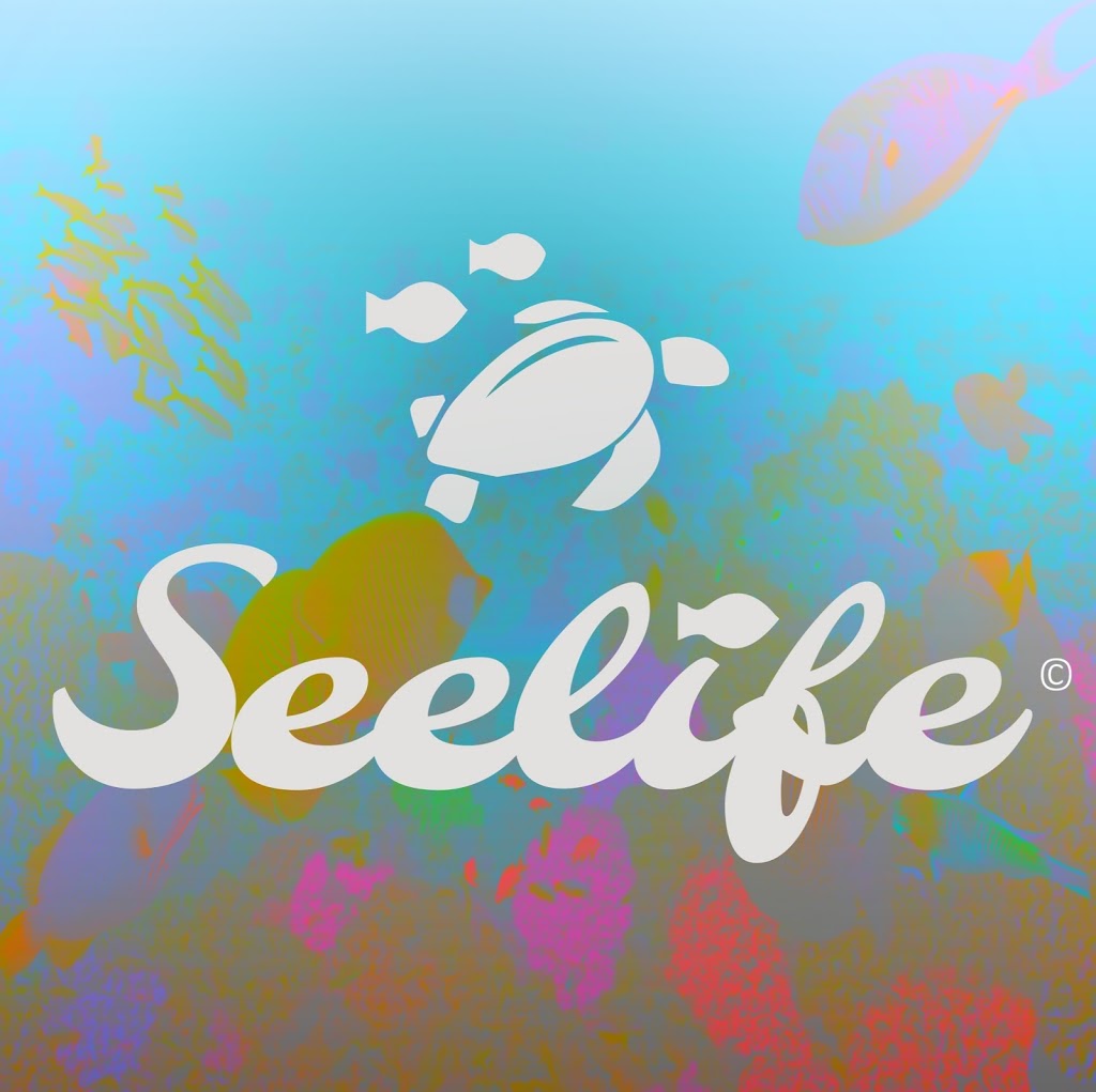 Seelife | store | 669 S Dowling St, Surry Hills NSW 2010, Australia | 1300796700 OR +61 1300 796 700