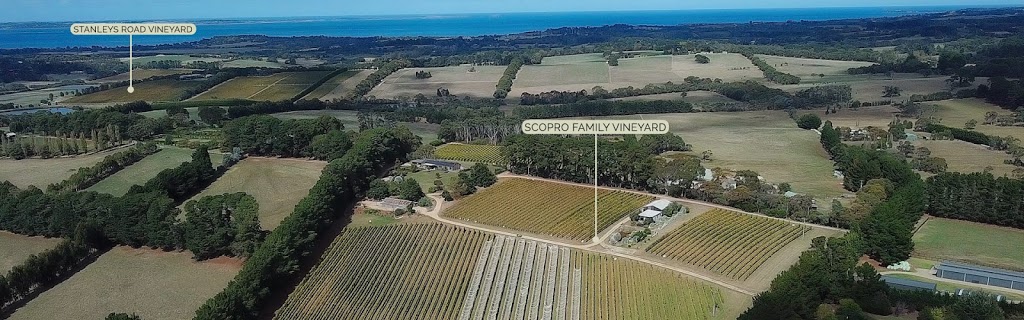 Scorpo Vineyard & Wines | 23 Old Bittern-Dromana Rd, Merricks North VIC 3926, Australia | Phone: (03) 5989 7697