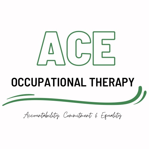 ACE Occupational Therapy | Elmore VIC 3558, Australia | Phone: 0491 056 982