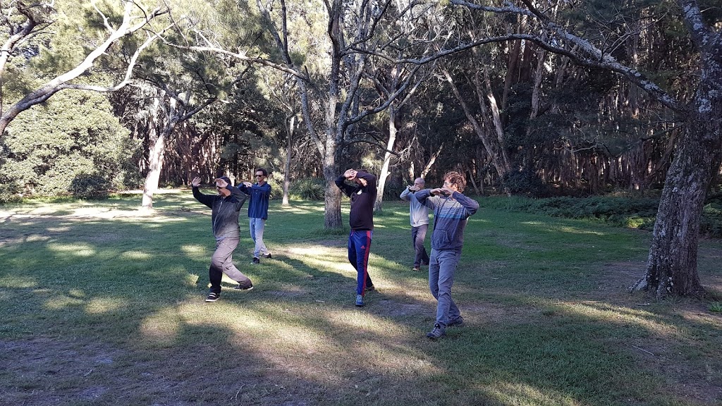 Larry Friedbergs Tai chi, Qigong and Self defence | school | Centennial Park NSW 2021, Australia | 0415689638 OR +61 415 689 638