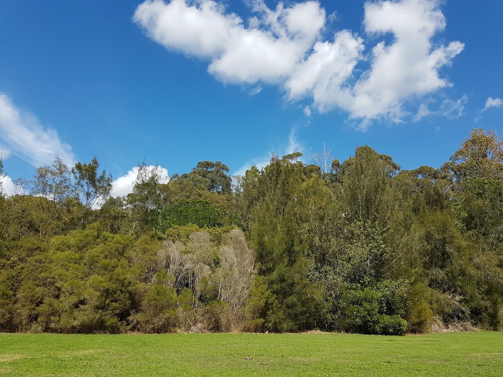 Lime Kiln Wetlands | park | 40 Pamela Ave, Peakhurst Heights NSW 2210, Australia
