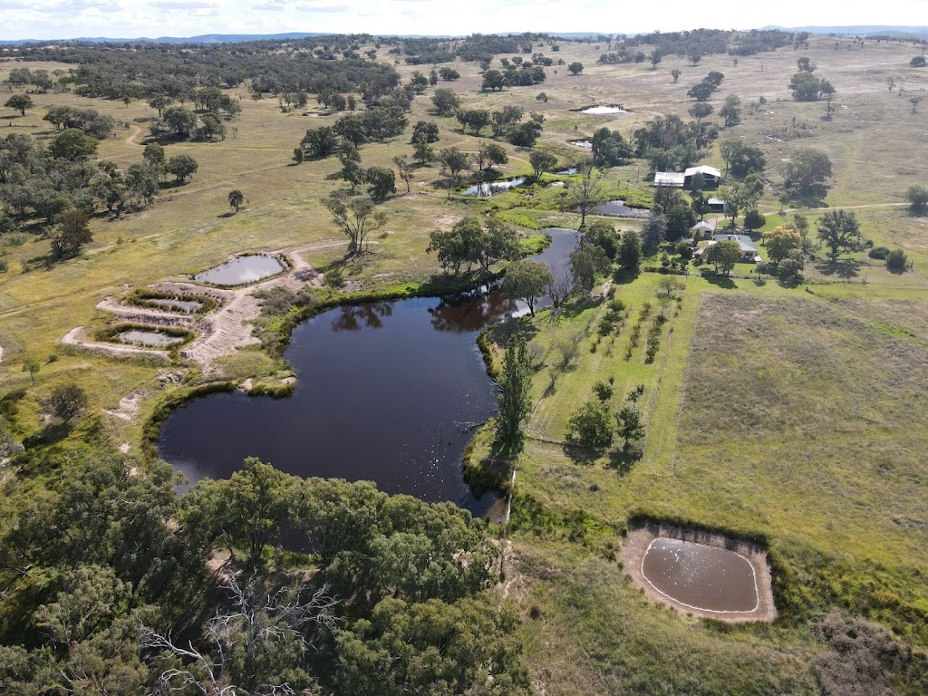Wallareen Station | 725 Carrolls Rd, Yeoval NSW 2868, Australia | Phone: 0408 231 321
