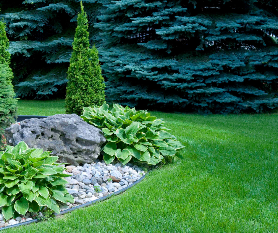 Better Lawn Co | 16 Fletcher Dr, Armstrong Creek VIC 3217, Australia | Phone: 0452 511 266