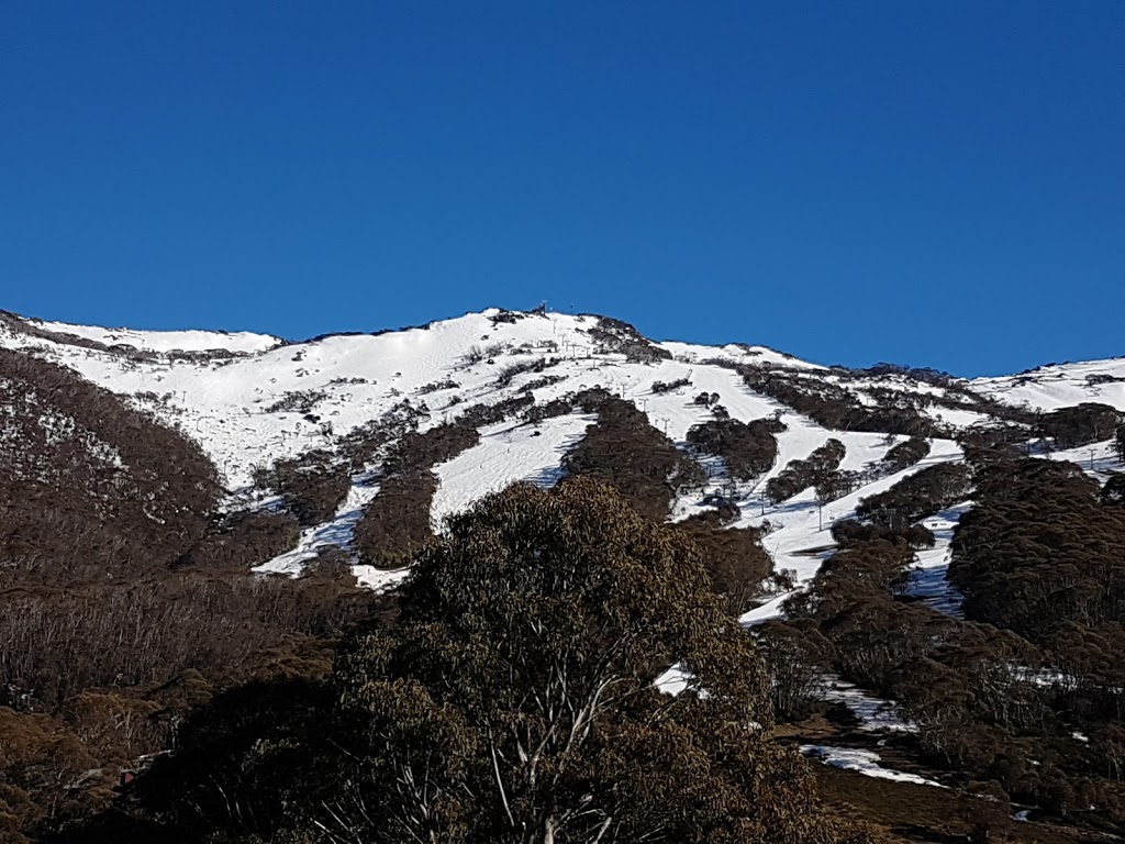 Alpenhorn Lodge | lodging | 6 Buckwong Pl, Thredbo NSW 2625, Australia | 0264576223 OR +61 2 6457 6223