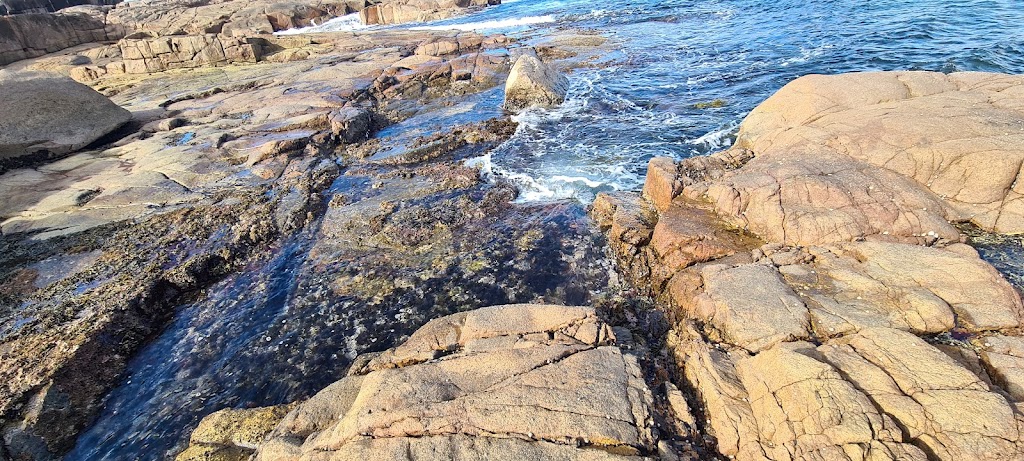 Rock Pool - swimming and observing sea flora and fish | 3 Noamunga St, Boat Harbour NSW 2316, Australia | Phone: 0437 476 412