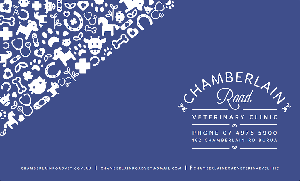 Chamberlain Road Veterinary Clinic | veterinary care | 182 Chamberlain Rd, Calliope QLD 4680, Australia | 0749755900 OR +61 7 4975 5900
