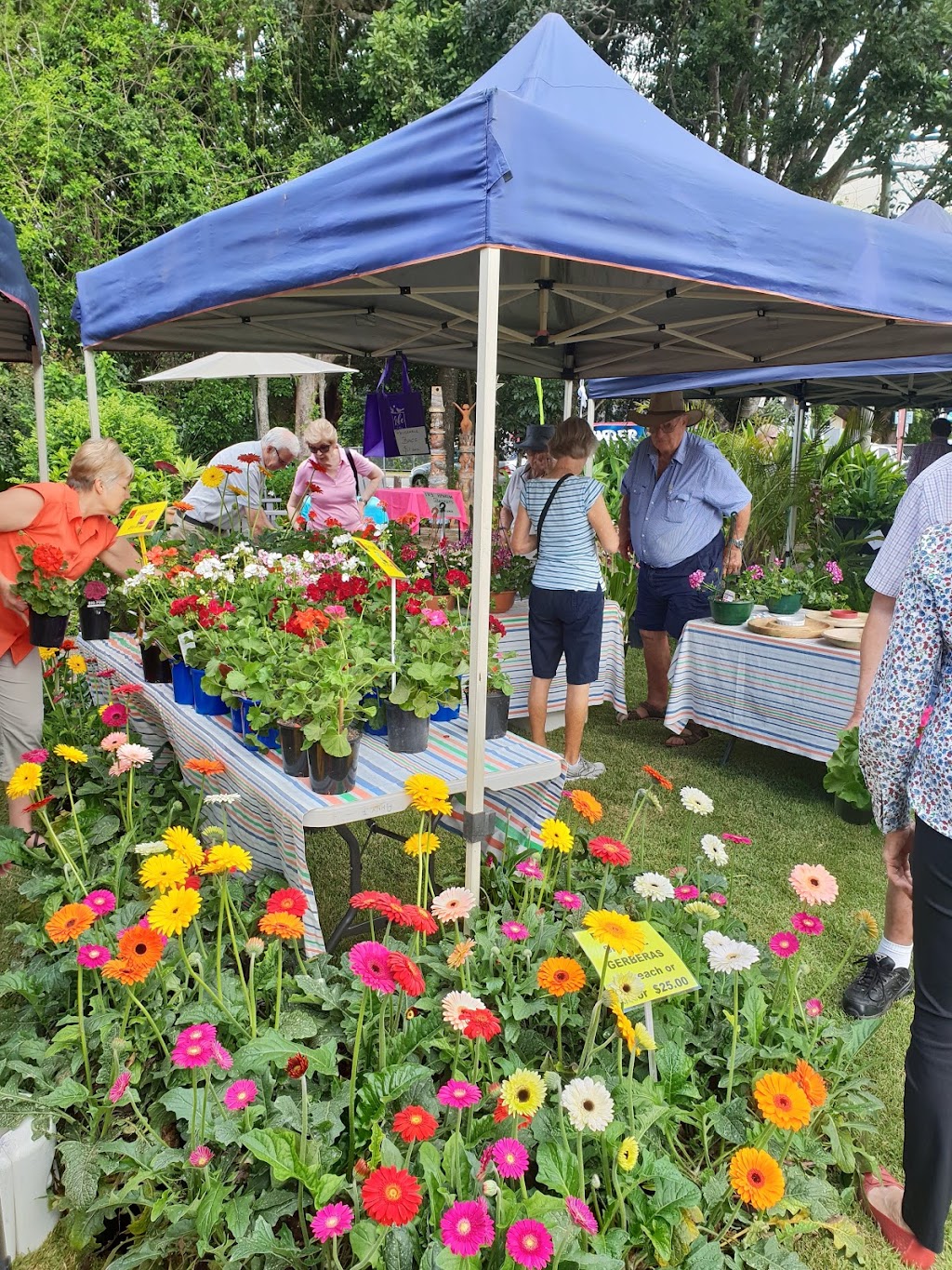 Buderim Craft Cottage | 5 Main St, Buderim QLD 4556, Australia | Phone: (07) 5450 1714