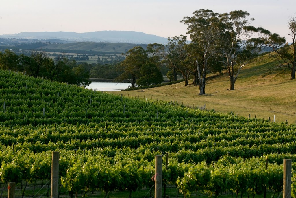 Granite Hills Winery | food | 1481 Burke and Wills Track, Baynton VIC 3444, Australia | 0354237273 OR +61 3 5423 7273
