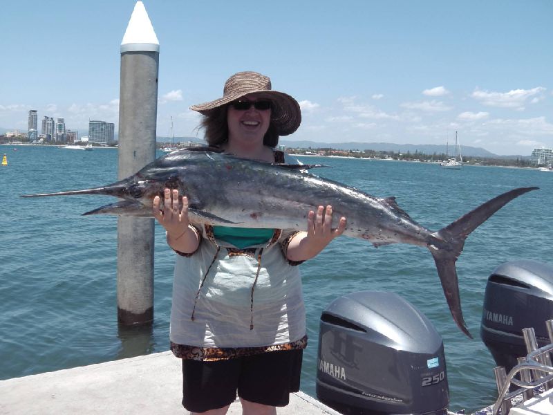 Best Gold Coast Fishing Charters | 1 Muriel Henchman Dr, Main Beach QLD 4217, Australia | Phone: 0427 026 519