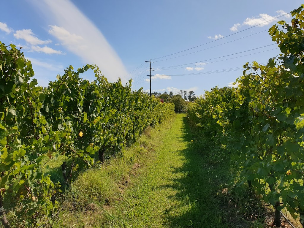 Whispering Hills Vineyard | Paynes Rd, Seville VIC 3139, Australia | Phone: (03) 5964 2822