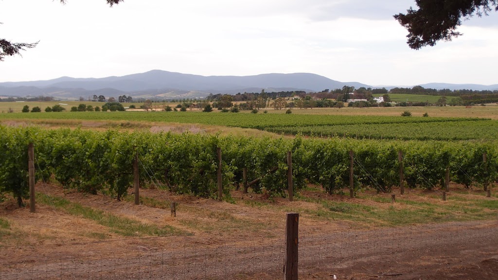 Yering Farm Wines | St Huberts Rd, Yering VIC 3770, Australia | Phone: (03) 9739 0461