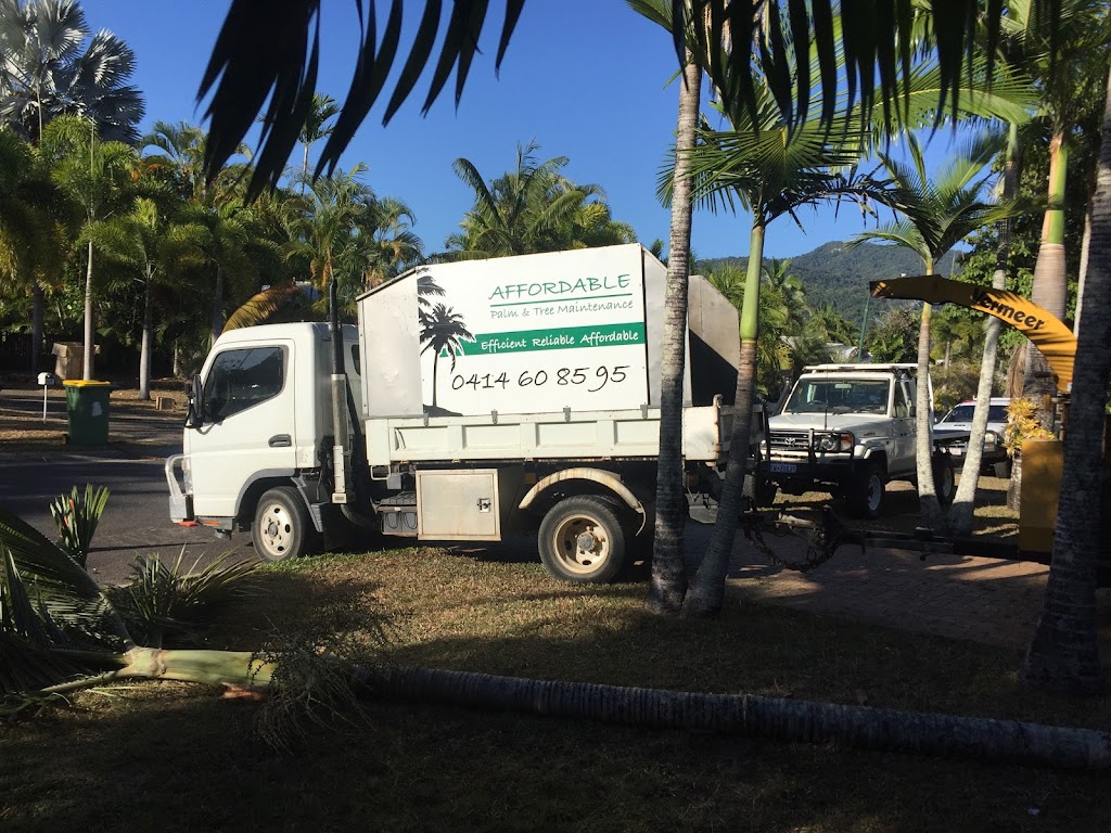Affordable Palm & Tree Maintenance |  | 17 Ellison St, Clifton Beach QLD 4879, Australia | 0414608595 OR +61 414 608 595
