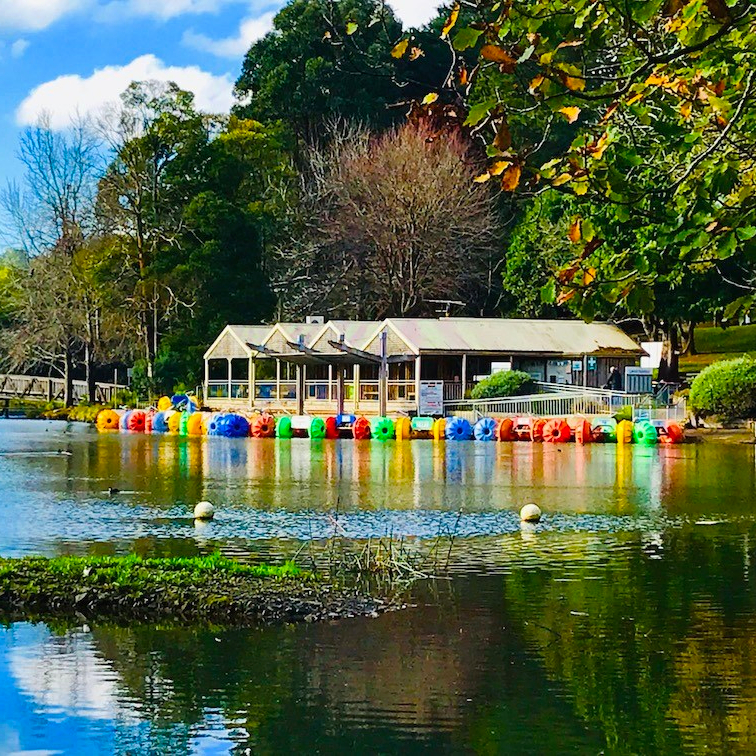 Eastern Dandenong Ranges Association | 7/17 McBride St, Cockatoo VIC 3781, Australia | Phone: (03) 5944 3536
