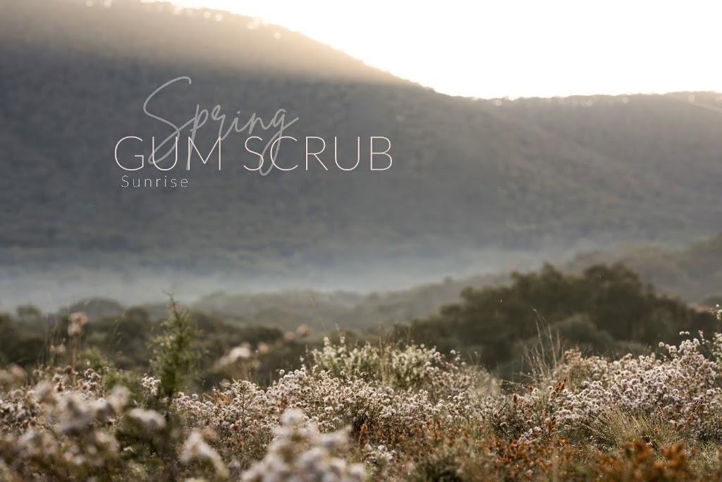 The Gum Scrub | 36 Valley View Cl, Napoleon Reef NSW 2795, Australia | Phone: 0412 318 178