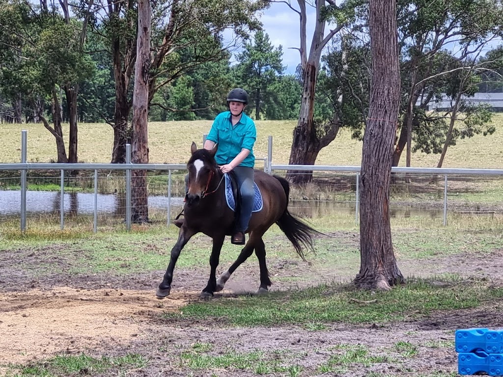 Hands On Horses Australia | 82 Border Gate Rd, Cottonvale QLD 4375, Australia | Phone: 0417 579 264