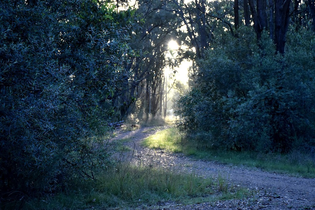 On Bell Glamping | 352 Bell Rd, Lower Belford NSW 2335, Australia | Phone: 0427 747 237