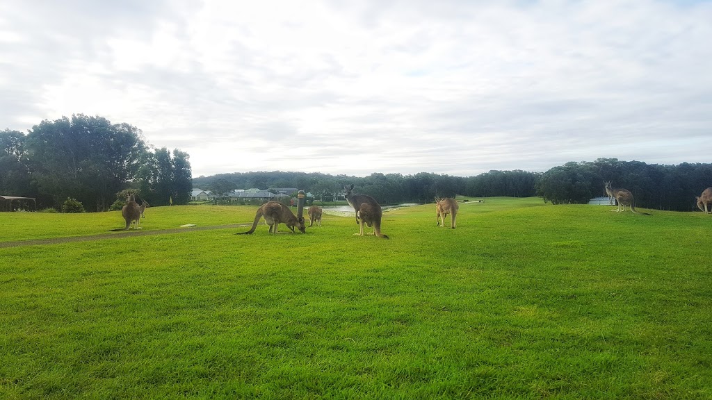 Horizons Resort Hotel Condos | 5 Horizons Dr, Salamander Bay NSW 2317, Australia | Phone: (02) 8840 2852