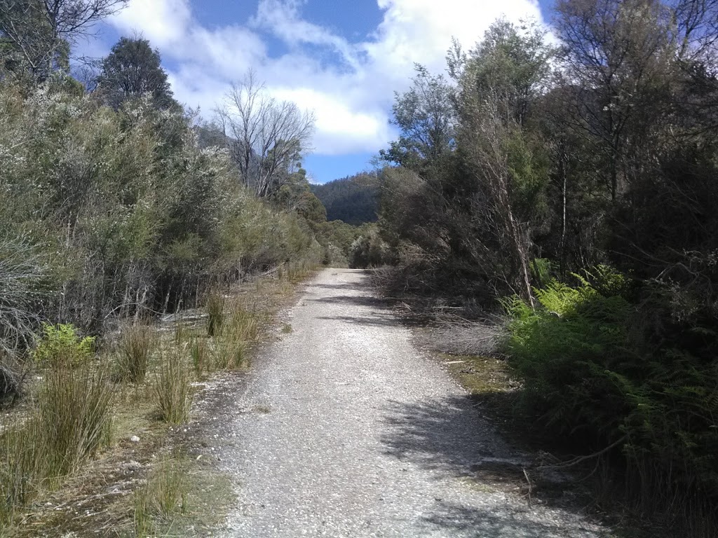 Mount roland walking track | park | Unnamed Road, Gowrie Park TAS 7306, Australia