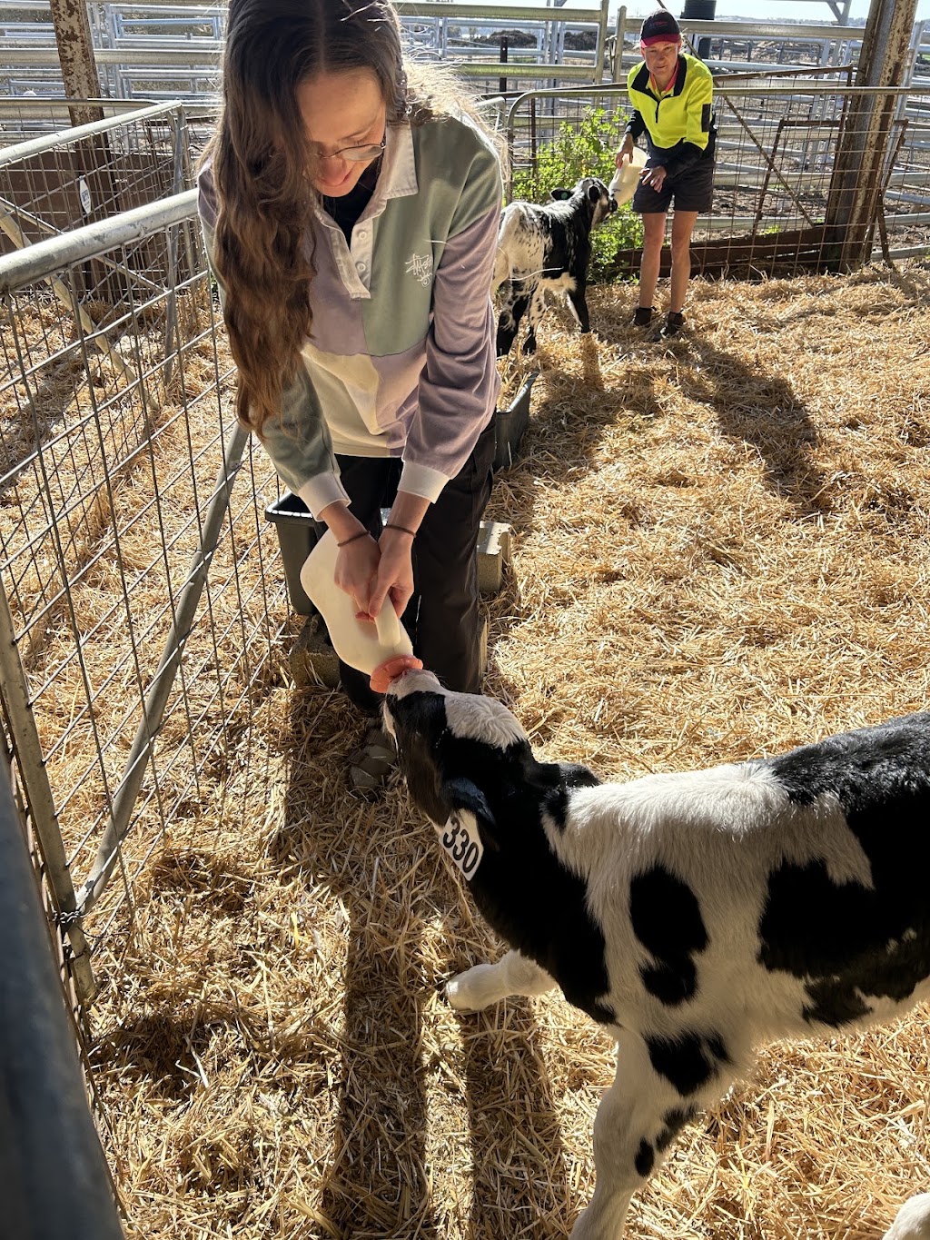 Dairy Adventures | 395 Belvedere Rd, Mannum SA 5238, Australia | Phone: 0499 007 672