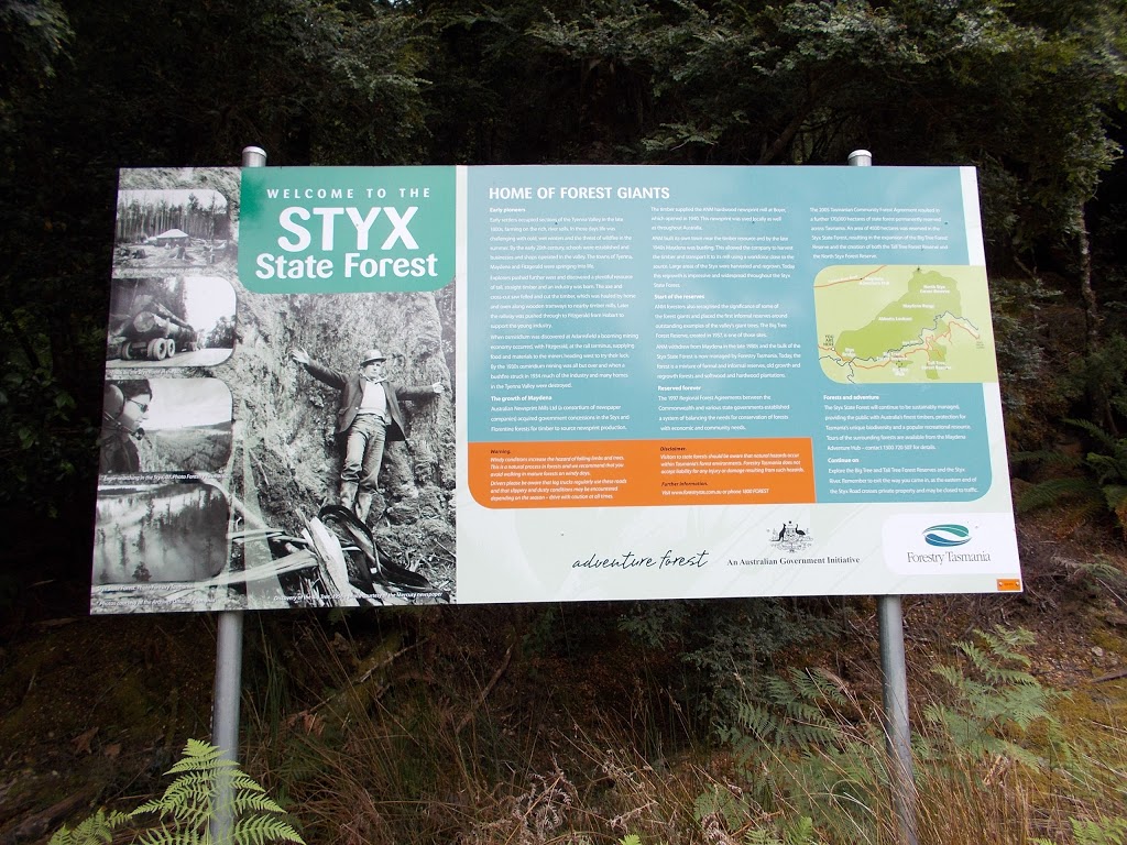 Big Tree Forest Reserve | park | Styx TAS 7140, Australia
