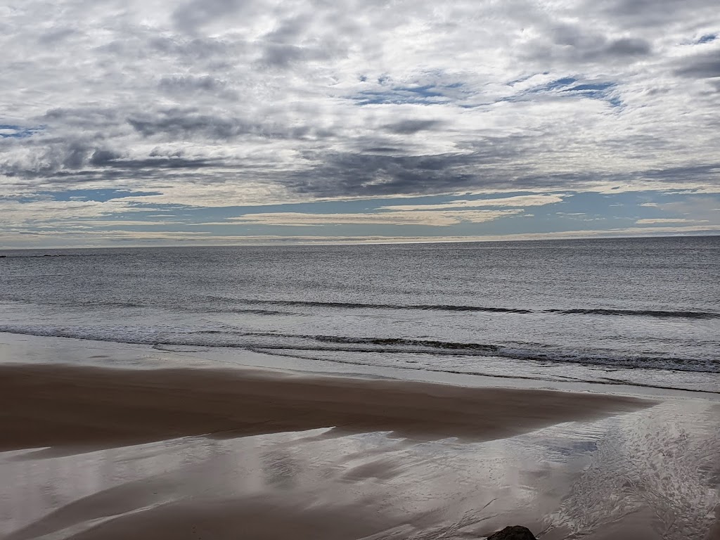 The Burnie Boardwalk | park | The Boardwalk, Burnie TAS 7320, Australia | 0364305700 OR +61 3 6430 5700