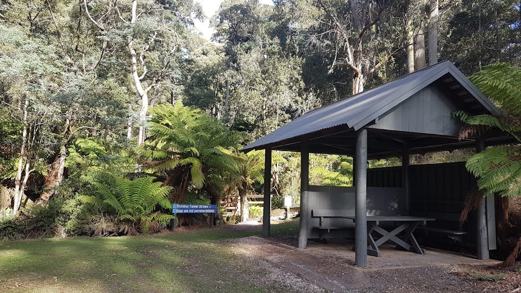 Ferndene State Reserve | 611 Ironcliffe Rd, Penguin TAS 7316, Australia