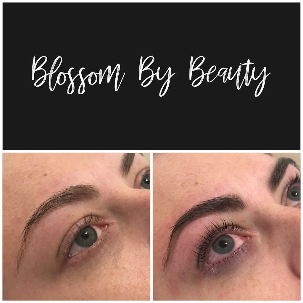 Blossom By Beauty | beauty salon | 22 Greenline circuit, Nambour QLD 4560, Australia | 0438678240 OR +61 438 678 240