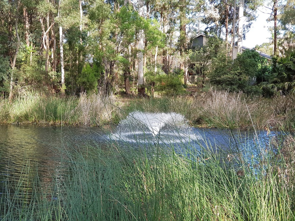 The Lakes of Cherrybrook | park | Cherrybrook NSW 2126, Australia | 0298746666 OR +61 2 9874 6666